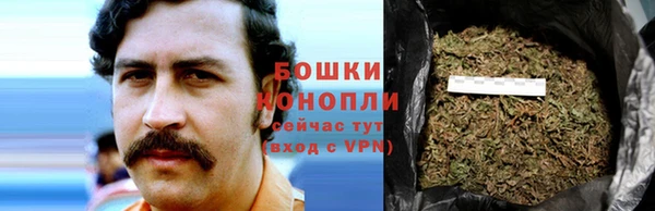 дурь Корсаков