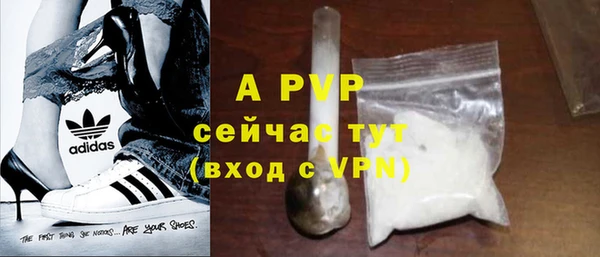 дурь Корсаков