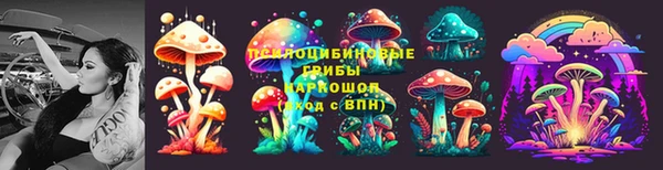 гашик Коряжма