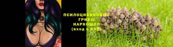 таблы Костерёво