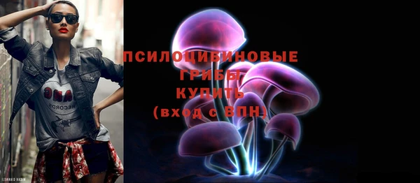 гашик Коряжма