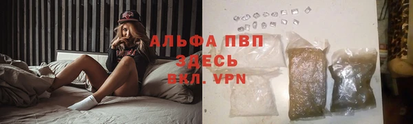 дурь Корсаков