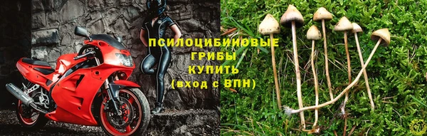 гашик Коряжма