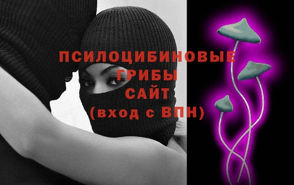 гашик Коряжма